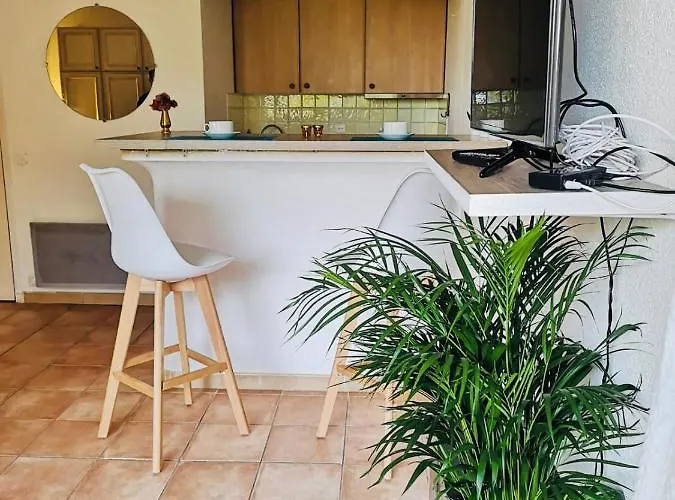 Studio Agreable De 39m2 Avec Terrasse 15m2 Apartment