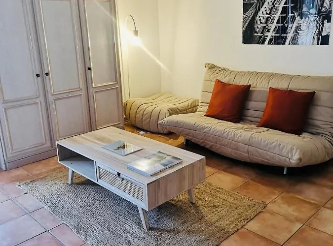 Studio Agreable De 39m2 Avec Terrasse 15m2 Apartment